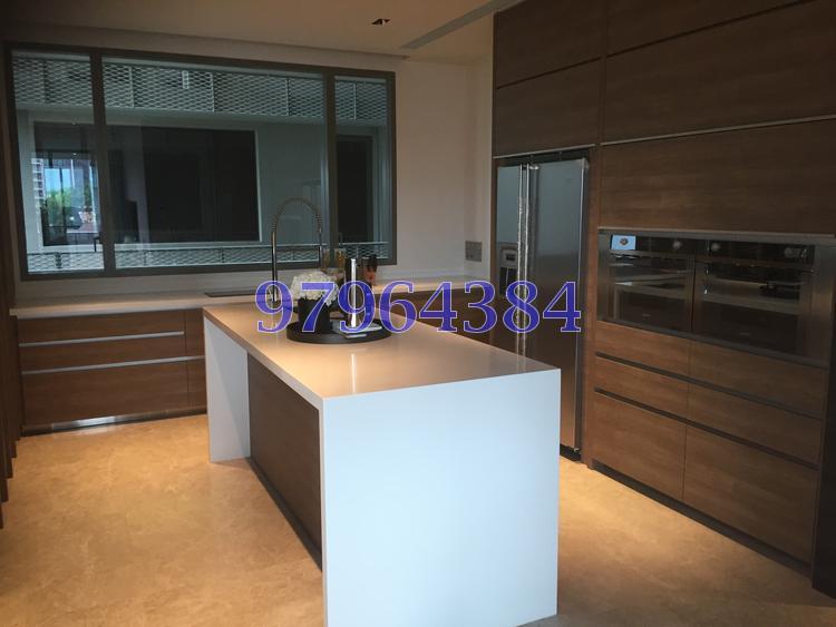 Leedon Residence (D10), Condominium #104331992